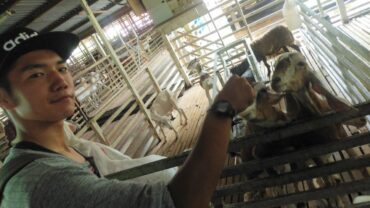 修学旅行２班 第２日目　Vol.２